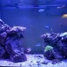 Mildy