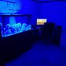 Rookums Reef