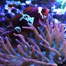 Oceanhobby