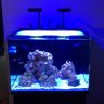 Norm_68