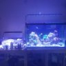 reefjvillnc