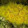 Work2Reef