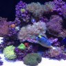kmatehws12