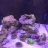 Technician Reefs
