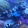 SaltWater Innovations