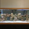 Dat reef doe