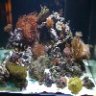 NauticaC4