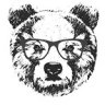 Bear Necessities