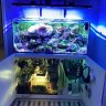 Paleozoic_reefer