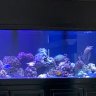 Underwater Passion