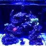ReeferHunter