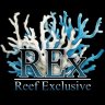 REEF EXCLUSIVE