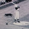CubsFan