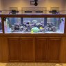 14 foot reef