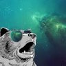Oso