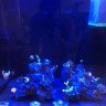 Phamousreef