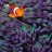 Purpletang92