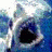 WLDSHARK