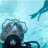 divewsharks
