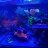 Reef Management LLC