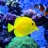MaverickReef