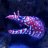 TheDragonsReef