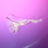 Jay6363