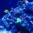 saltyfish808