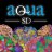 TeamAquaSD