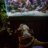 CK Amstutz