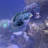 cant beat reef