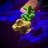 50_lagoon_reefing