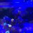 reefsaver