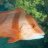 bronzewhaler22