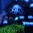 Reef_Crasher