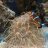 Rawsreef