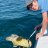 Codfish