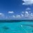 reefin_it