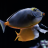 ReefKnight2