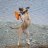 MollyDog