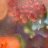 SeaweedLife