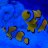 franklinsreef