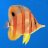 RedSeareefkeeper