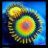 zoa84