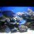 Reefing Madness