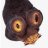 tapeworm123