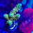 lightningreef2690