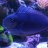 cloud9aquariums