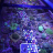 CoralGuy19