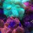 KM Wrasse
